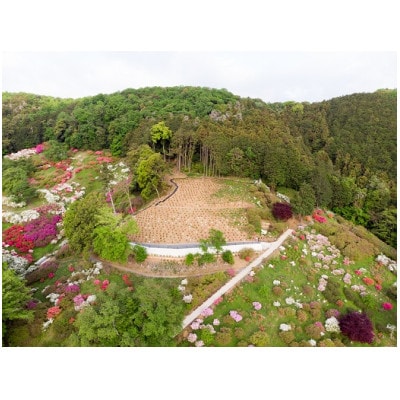 越生町営樹木葬墓苑「五大尊花木墓苑(樹林葬)」使用権