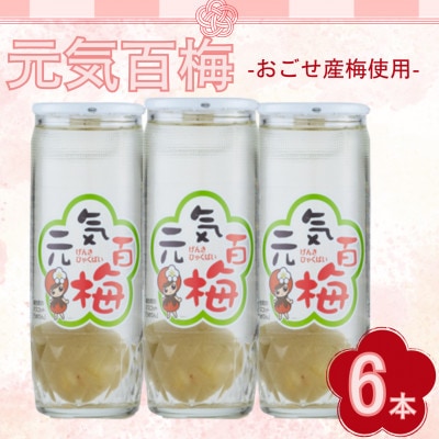元気百梅　6本入り