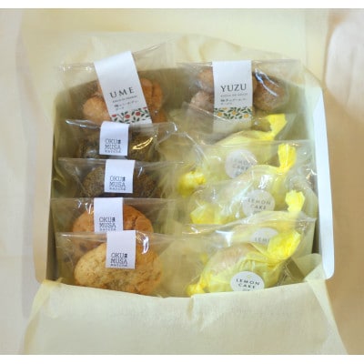 【さとふる限定】【来店体験】季節のプレミアムパフェ+飲み放題付カフェ時間+焼き菓子土産(1名様分)