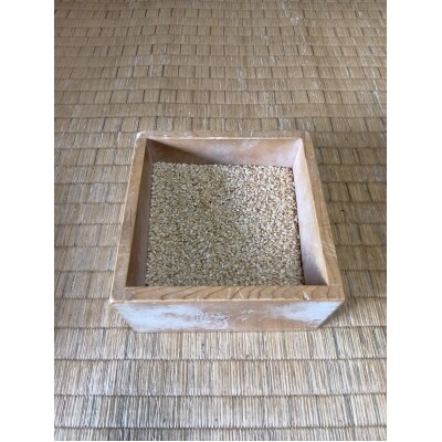 【令和8年産】埼玉県越生町産 コシヒカリ(玄米) 10kg