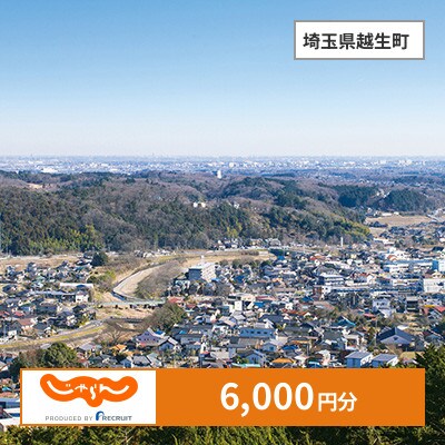 【じゃらんふるさと納税クーポン】 埼玉県越生町でつかえる6,000円 クーポン