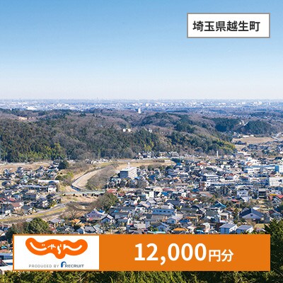 【じゃらんふるさと納税クーポン】 埼玉県越生町でつかえる12,000円 クーポン