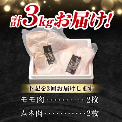 【3回定期便】信州黄金シャモ モモ・ムネ肉セット