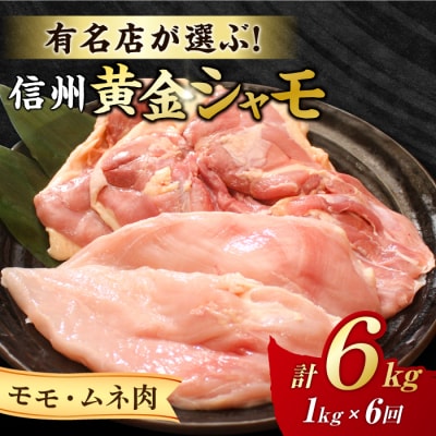 【6回定期便】信州黄金シャモ モモ・ムネ肉セット