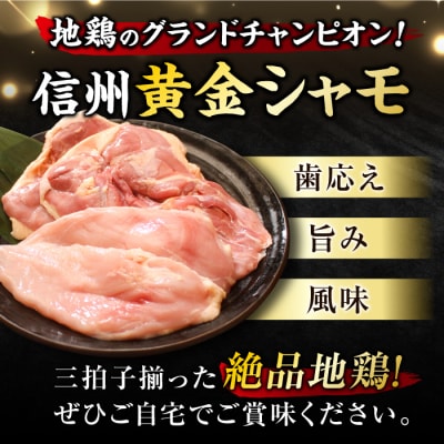【3回定期便 】朝びき!信州黄金シャモ モモ・ムネ肉セット (冷蔵)