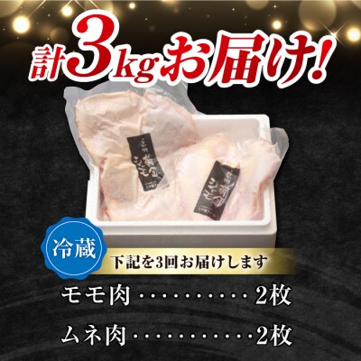 【3回定期便 】朝びき!信州黄金シャモ モモ・ムネ肉セット (冷蔵)