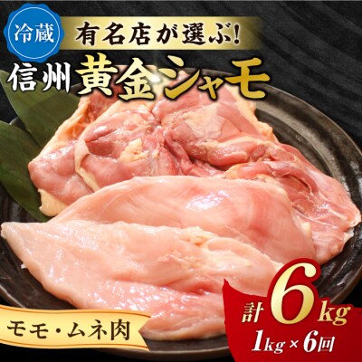 【6回定期便】朝びき!信州黄金シャモ モモ・ムネ肉セット (冷蔵)