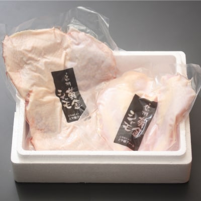 【6回定期便】朝びき!信州黄金シャモ モモ・ムネ肉セット (冷蔵)