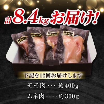 【12回定期便】信州黄金シャモお試しセット