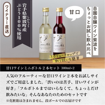 自園自醸ワイン紫波 甘口ワイン ミニボトル2本セット