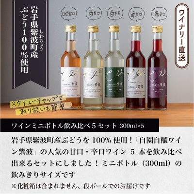 自園自醸ワイン紫波 甘口・辛口ワイン ミニボトル 飲み比べ5本セット