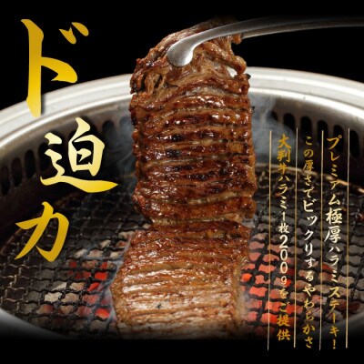 プレミアム極厚ハラミステーキ【熟成醤油だれ】1kg (K12-003)