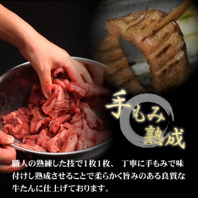 やまなか家の厳選!厚切り牛たん500g(K6-027)