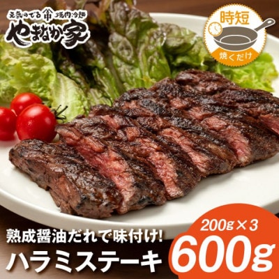 プレミアム極厚ハラミステーキ【熟成醤油だれ】600g (K2-026)