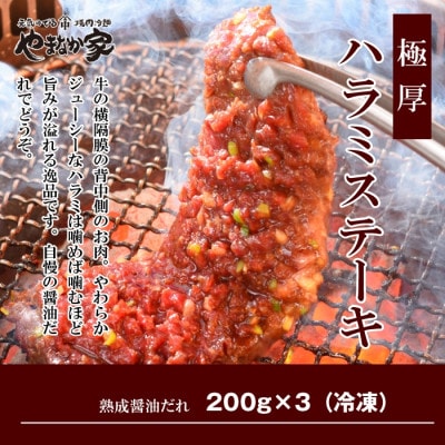 肉厚牛たん(タン元)500gと牛ハラミステーキ600g(K6-032)