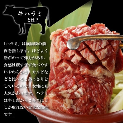 肉厚牛たん(タン元)500gと牛ハラミステーキ600g(K6-032)