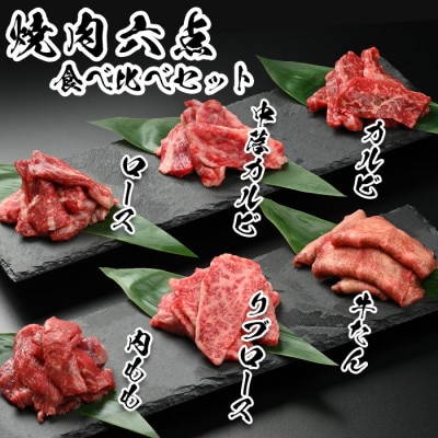 やまなか家の焼肉6点食べ比べセット たれ付き (G-021)