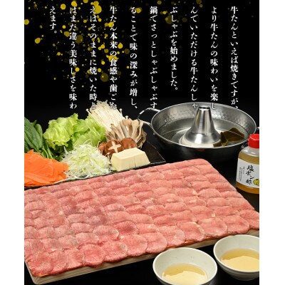 やまなか家の牛たんしゃぶしゃぶ400g(塩ポン酢付)(K6-039)