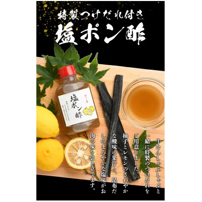 やまなか家の牛たんしゃぶしゃぶ400g(塩ポン酢付)(K6-039)
