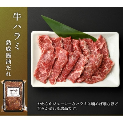 やまなか家の人気製品!3種セット!(G-008)