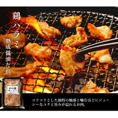 やまなか家のバラエティセット(G-004)