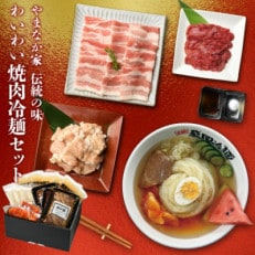 やまなか家のわいわい焼肉冷麺セット(G-003)