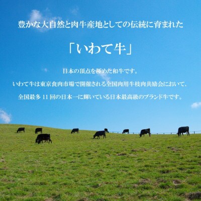 やまなか家のいわて牛サーロインしゃぶしゃぶ用600g(G-019)