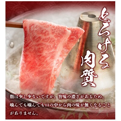 やまなか家　黒毛和牛　肩ロース500g(G-034)