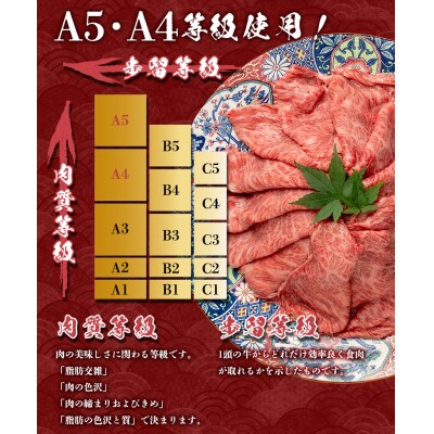 やまなか家　黒毛和牛　肩ロース500g(G-034)