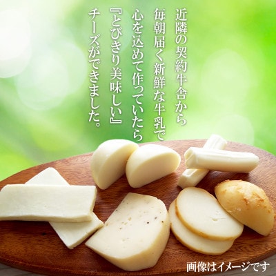 D　世界一受賞【南部美人】が誇る日本酒2本と『雫石チーズ工房』のチーズ4種のコラボ