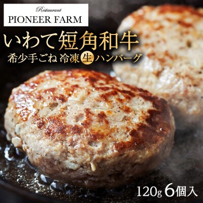 いわて短角和牛 生冷凍ハンバーグ 120g×6個入