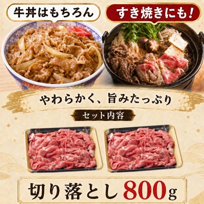 【牛匠 小形牧場牛】切り落とし 800g
