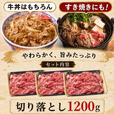【牛匠 小形牧場牛】切り落とし 1200g