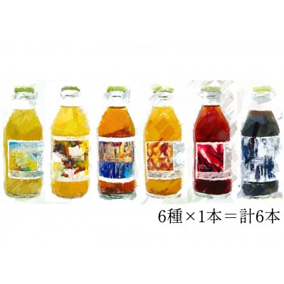 発酵ジンジャーエール6種ギフトセット