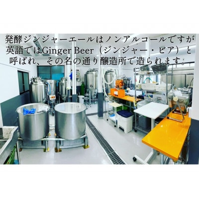 発酵ジンジャーエール6種ギフトセット