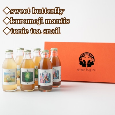 発酵ジンジャーエール 3種×2本ギフトセット
