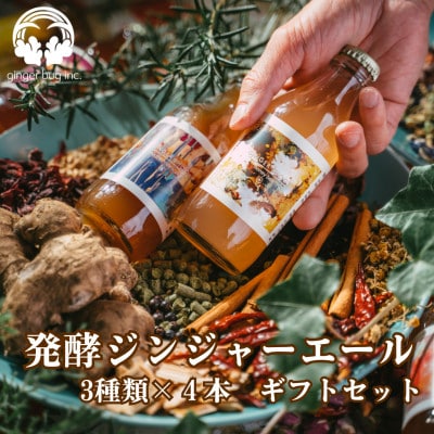 発酵ジンジャーエール 3種×4本ギフトセット