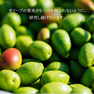 DHC 薬用ディープクレンジングオイル(L) (医薬部外品) 1個