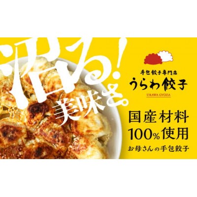 うらわ餃子　レギュラー10個・バジル&チーズ10個セット