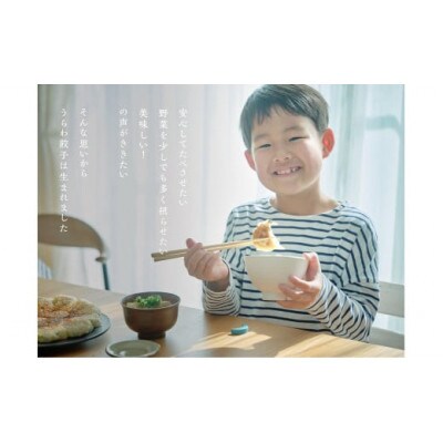 うらわ餃子　レギュラー10個・しそ10個・バジル&チーズ10個セット