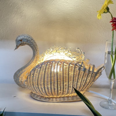 Swan Light <��> �\�ٕ҂݂̗D��ȓ���\