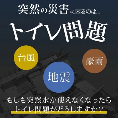 簡易トイレ　3箱(90回分)