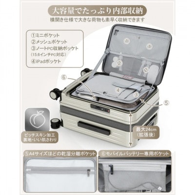 NEWTRIP0501　スーツケース　オートミールグレー　Sサイズ