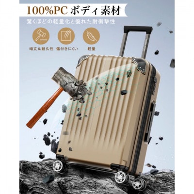 NEWTRIP0201p　スーツケース　シルバー　Lサイズ