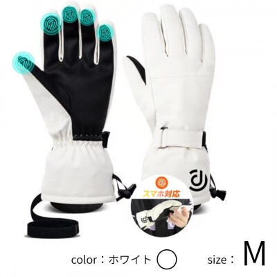 Arecom スキーグローブ M ホワイト