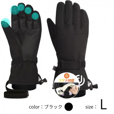 Arecomスキーグローブ L ブラック