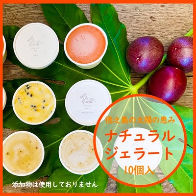 徳之島ワクワクジェラート　ティダ(太陽)のおくりもの　10個セット