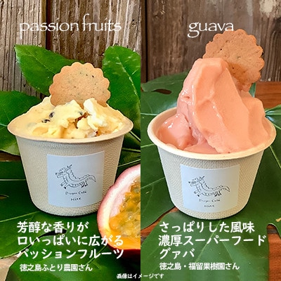 徳之島ワクワクジェラート　ティダ(太陽)のおくりもの　10個セット