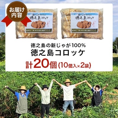 【先行予約! 2026年5月上旬～発送】徳之島 コロッケ 10個入り×2袋 【絆ファーム】
