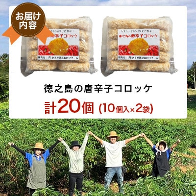 【先行予約! 2026年5月上旬～発送】徳之島 唐辛子コロッケ 10個入り×2袋 【絆ファーム】